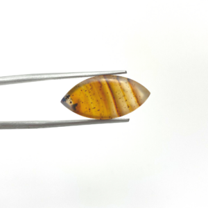 Montana Agate Marquise Cabochon Approx 20 x 12mm