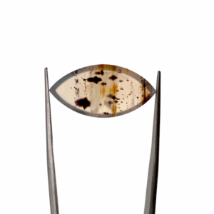 Montana Agate Marquise Cabochon Approx 30 x 15mm