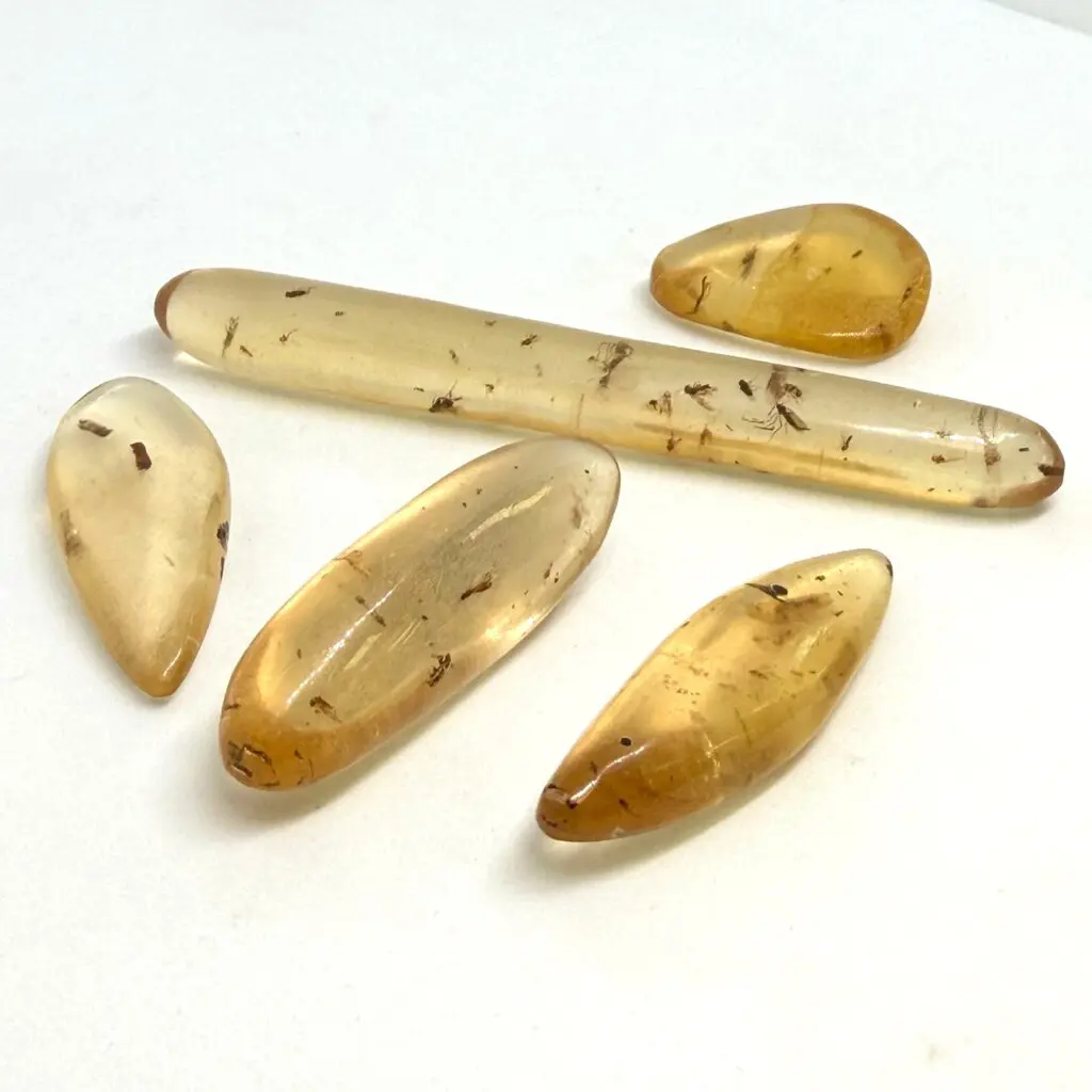Copal With Bugs Freeform Specimen Approx 25 - 55mm 1pc