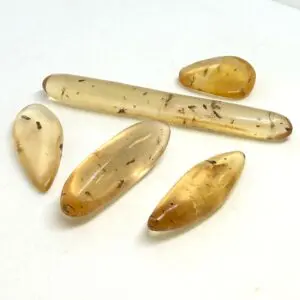 Copal With Bugs Freeform Specimen Approx 25 - 55mm 1pc