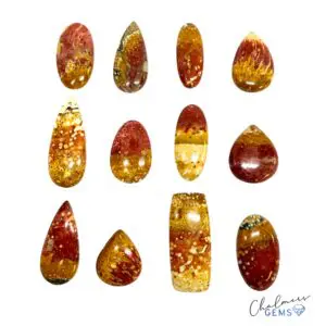 Palm Wood Mixed Shape Cabochons - Select your own