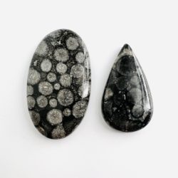 Black Fossil Coral Mixed Shape Cabochon 1-3 piece 75cts