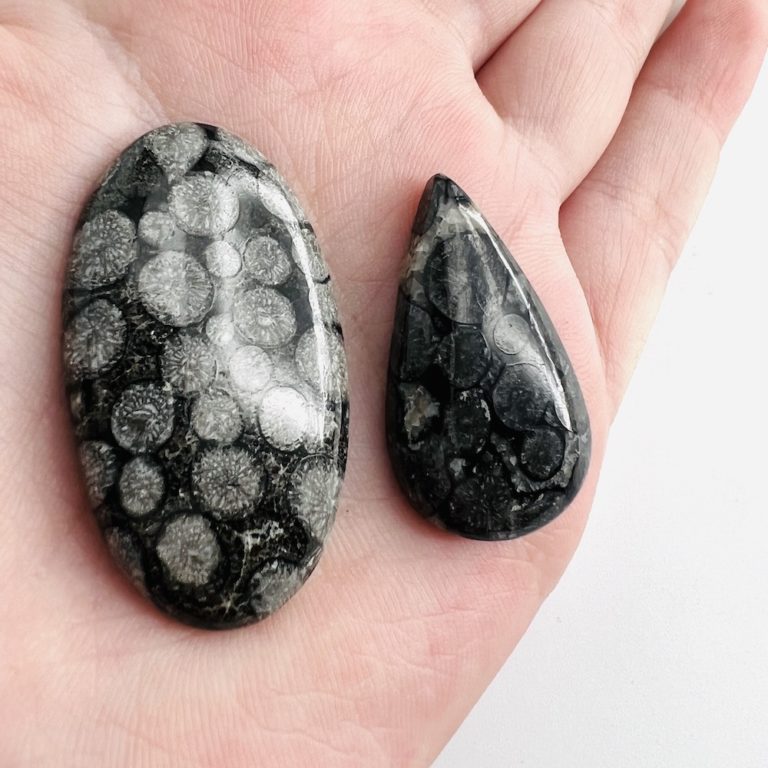 Black Fossil Coral Mixed Shape Cabochon 1-3 piece 75cts - Image 3