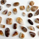 Mexican Agate Mixed Shape Cabochon Approx 20 x 15mm 5 - 7 Piece Pack Approx 75 Carats