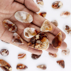 Mexican Agate Mixed Shape Cabochon Approx 40 x 20mm 1 - 3 Piece Pack
