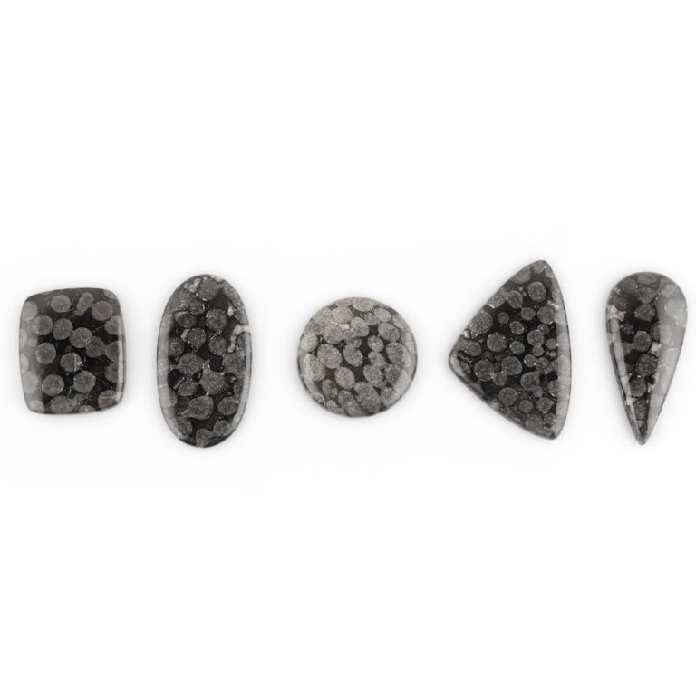 Black Fossil Coral Mixed Shape Cabochon Approx 45 Carats - Image 2