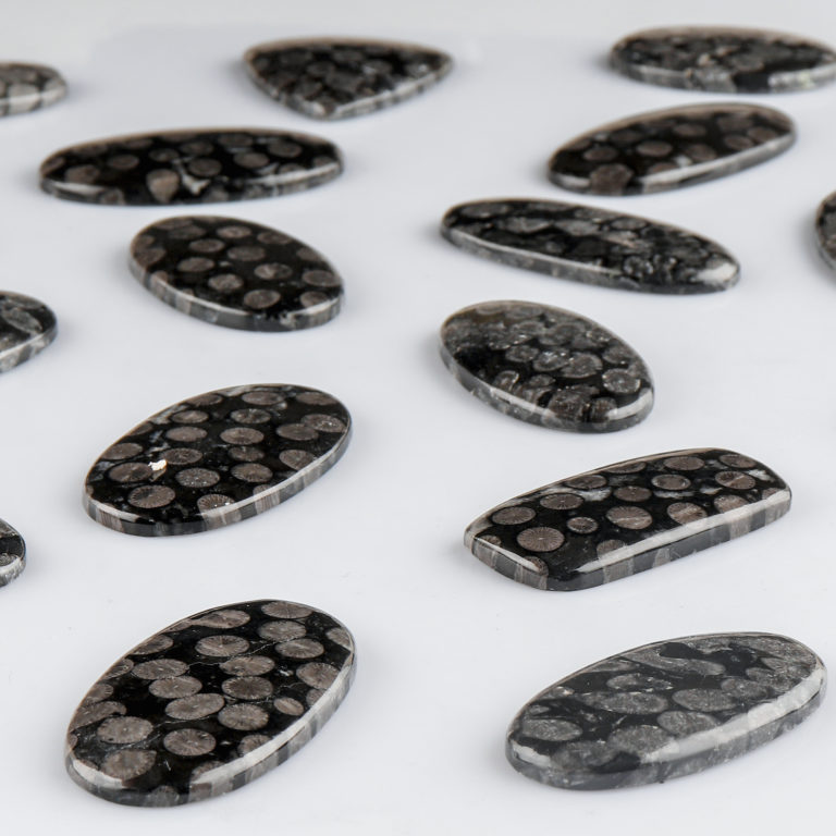 Black Fossil Coral Mixed Shape Cabochon Approx 45 Carats - Image 3