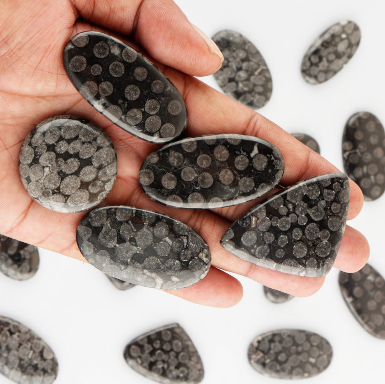 Black Fossil Coral Mixed Shape Cabochon Approx 45 Carats - Image 4
