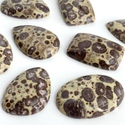 Asteroid Jasper Mixed Shape Cabochons Approx 3 x 2cm 4 Piece Pack