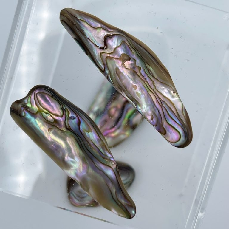 Abelone Shells Mixed Shape 2-Pcs - Image 2