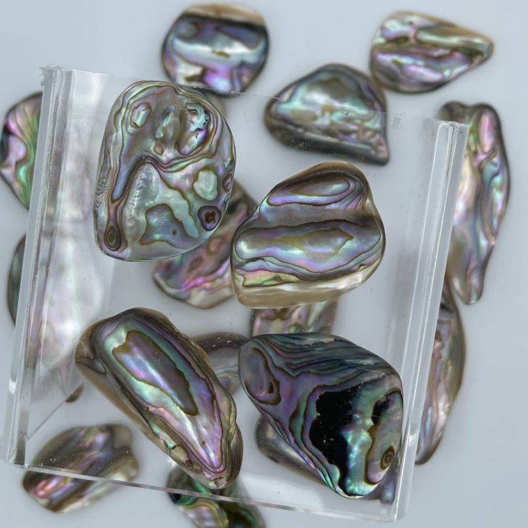 Abelone Shells Mixed Shape 2-Pcs - Image 4