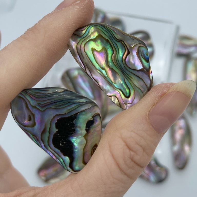 Abelone Shells Mixed Shape 2-Pcs - Image 5