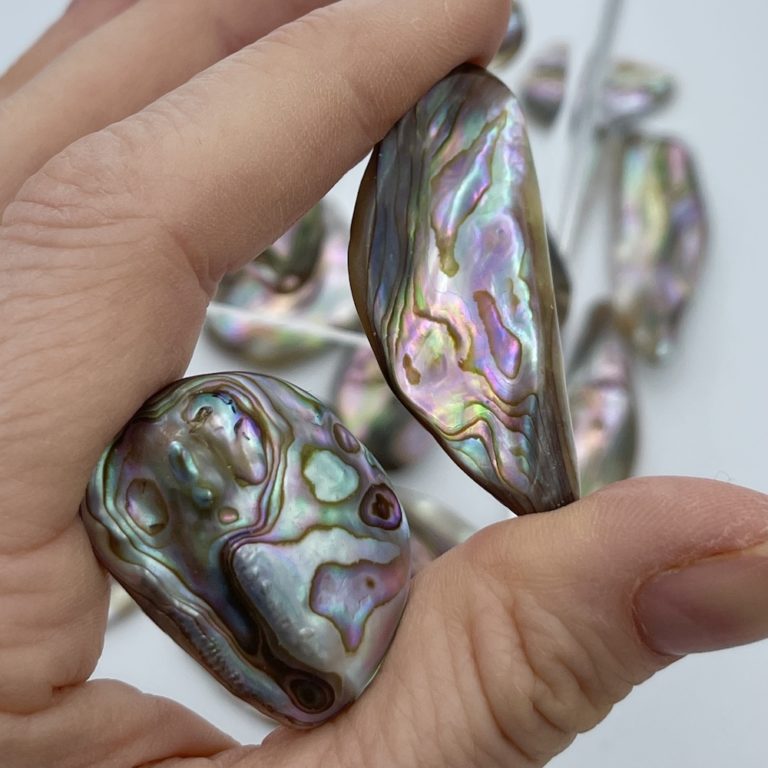 Abelone Shells Mixed Shape 2-Pcs
