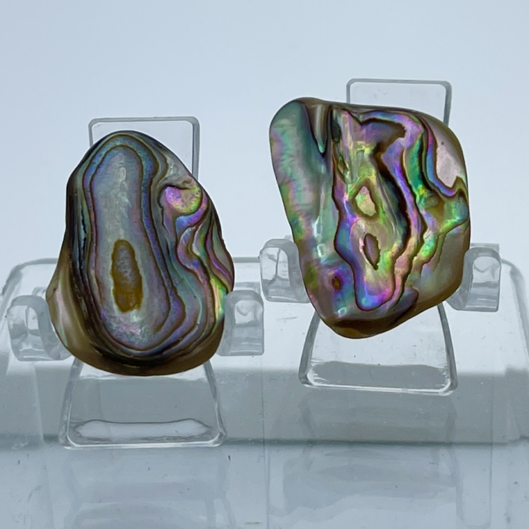 Abelone Shells Mixed Shape 2-Pcs - Image 6