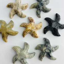 Soapstone Starfish Approx 3cm