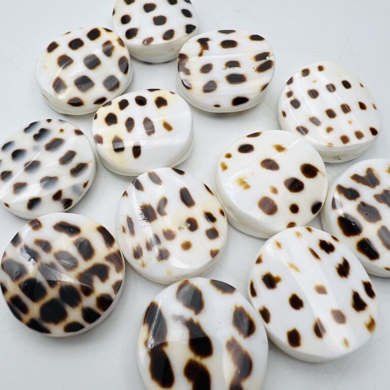 Round Spotty Shell Beads Approx 2cm 3 Piece Pack