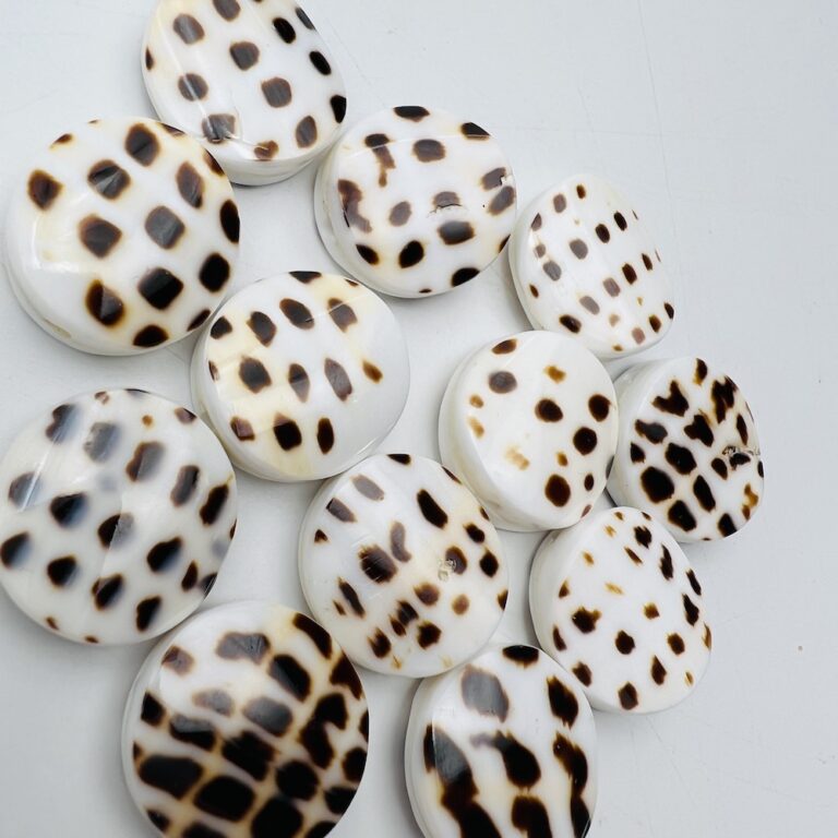 Round Spotty Shell Beads Approx 2cm 3 Piece Pack - Image 2