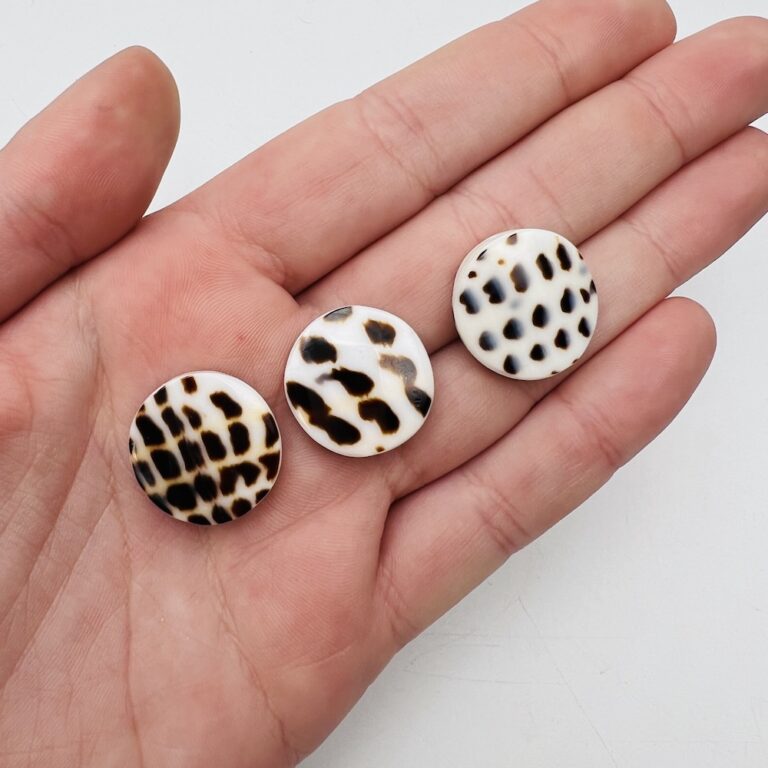 Round Spotty Shell Beads Approx 2cm 3 Piece Pack - Image 3