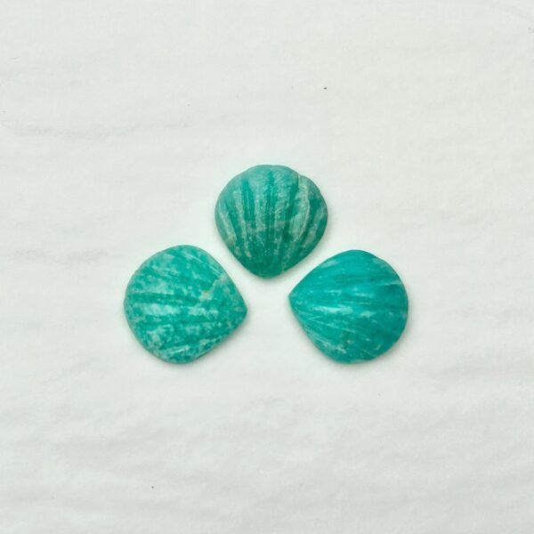 Amazonite Shell Drilled Approx 22mm