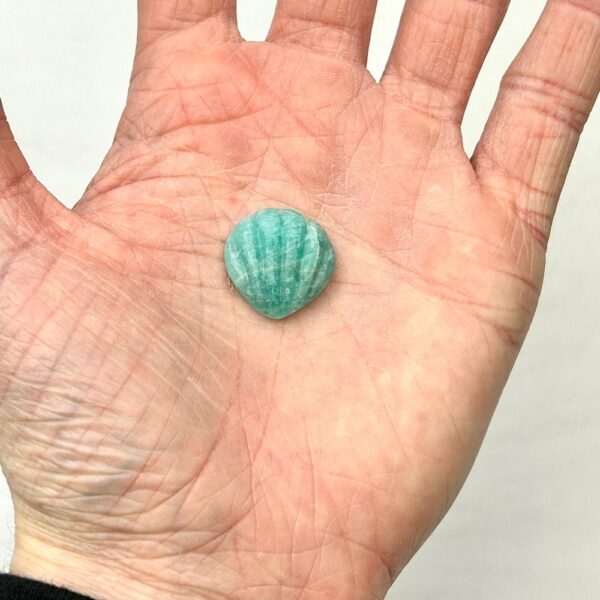 Amazonite Shell Drilled Approx 22mm - Image 3