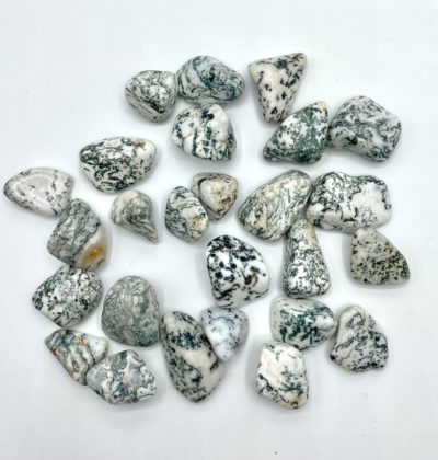 Tree Agate Tumble Stones Approx 2.5cm 3 Piece Pack