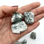 Tree Agate Tumble Stones Approx 2.5cm 3 Piece Pack