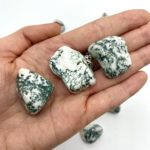 Tree Agate Tumble Stones Approx 2.5cm 3 Piece Pack