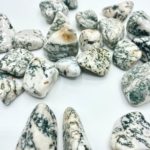 Tree Agate Tumble Stones Approx 2.5cm 3 Piece Pack