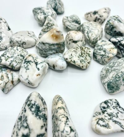 Tree Agate Tumble Stones Approx 2.5cm 3 Piece Pack