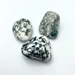 Tree Agate Tumble Stones Approx 2.5cm 3 Piece Pack