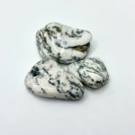 Tree Agate Tumble Stones Approx 2.5cm 3 Piece Pack