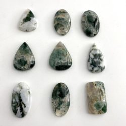 Flat Lay Tree Agate Mixed Shape Top Drilled Cabochons Approx 30 - 35mm with 0.8mm Drill Hole 2 Piece Pack