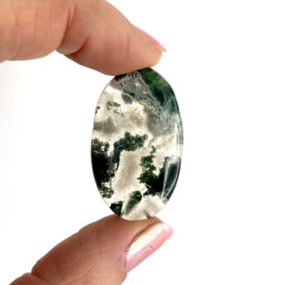 Tree Agate Oval Cabochon 2