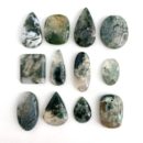 Tree Agate Mixed Shape Top Drilled Cabochons Approx 25 - 35mm with 0.8mm Drill Hole 3 Piece Pack
