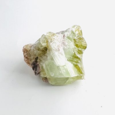 Green Calcite Rough in Medium Etched Dinosaur Bamboo Intent Box