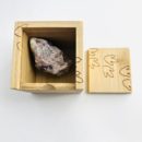 Lepidolite Mica & Quartz Rough in Medium Etched Dinosaur Bamboo Intent Box