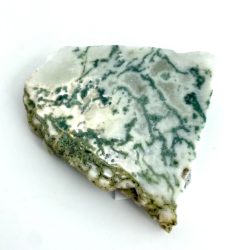 Tree Agate Slice "Pick Your Own" Approx 5 - 12cm