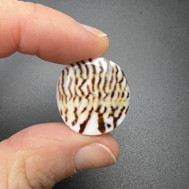 Round Leopard Spotted Cowrie Shell Beads 3 Piece Pack - Image 5