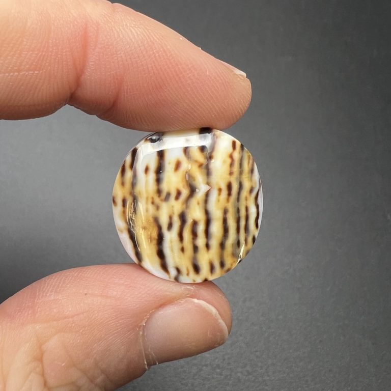 Round Leopard Spotted Cowrie Shell Beads 3 Piece Pack - Image 3