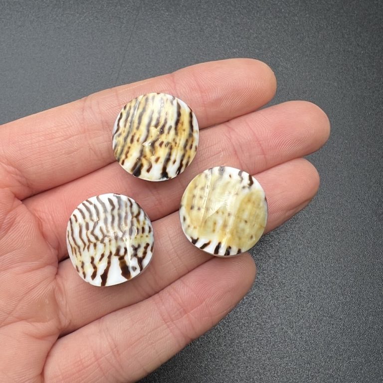 Round Leopard Spotted Cowrie Shell Beads 3 Piece Pack - Image 2