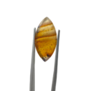 Top Quality Montana Agate Cabochon Marquise in Tweezers