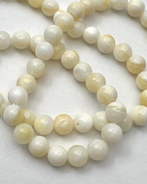 Yellow Shell Smooth Round Approx 6mm Beads Approx