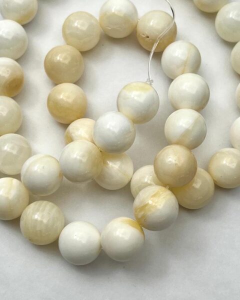 Yellow Shell Smooth Round Approx 10mm Beads Approx 38cm Strand