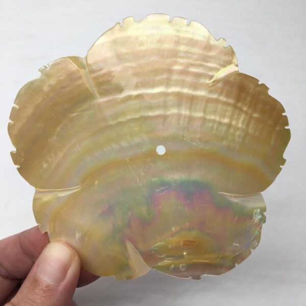 Carved Shell Flower with Centre Drill Hole Approx 10cm 1pc - Image 3