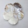 Carved Shell Flower with Centre Drill Hole Approx 10cm 1pc - Image 2