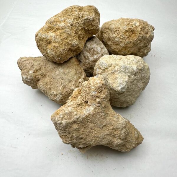 Crack Your Own Quartz Geode (may be solid rock) - Image 5