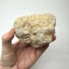 Crack Your Own Quartz Geode (may be solid rock)
