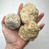 Crack Your Own Quartz Geode (may be solid rock) - Image 4