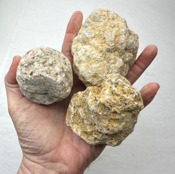 Crack Your Own Quartz Geode (may be solid rock) - Image 4