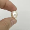 Freshwater Cultured Cream Oval Pearl Approx 14 x 12mm 1pc Half Drilled